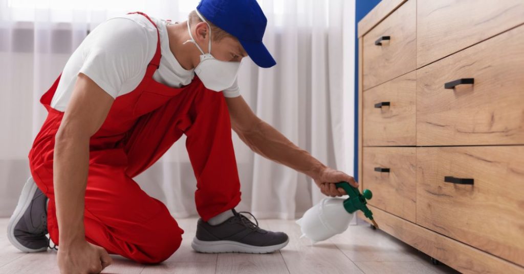 capa dedetizacao em Petrópolis